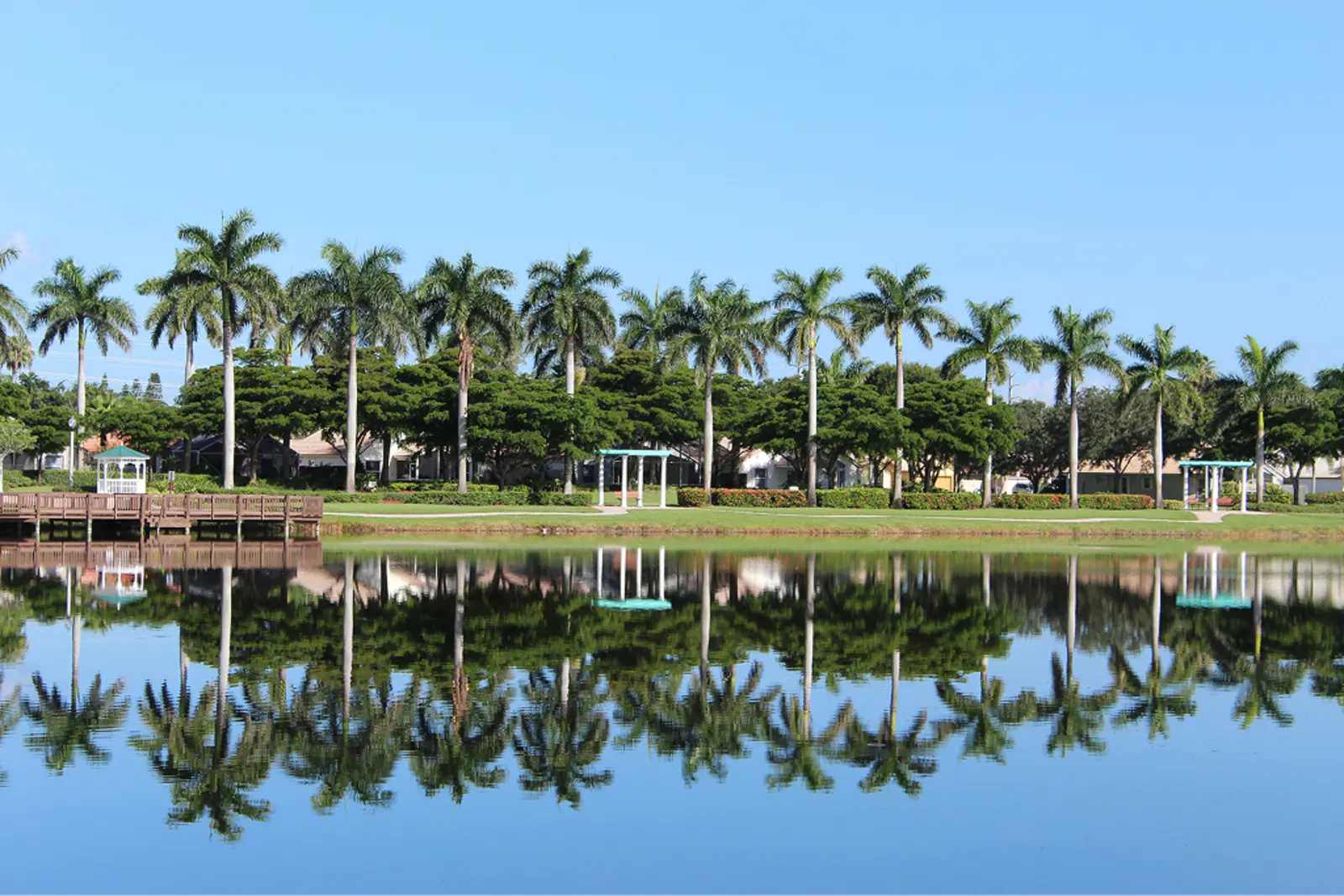 Palm trees reflected in a calm lake in Wellington, Florida